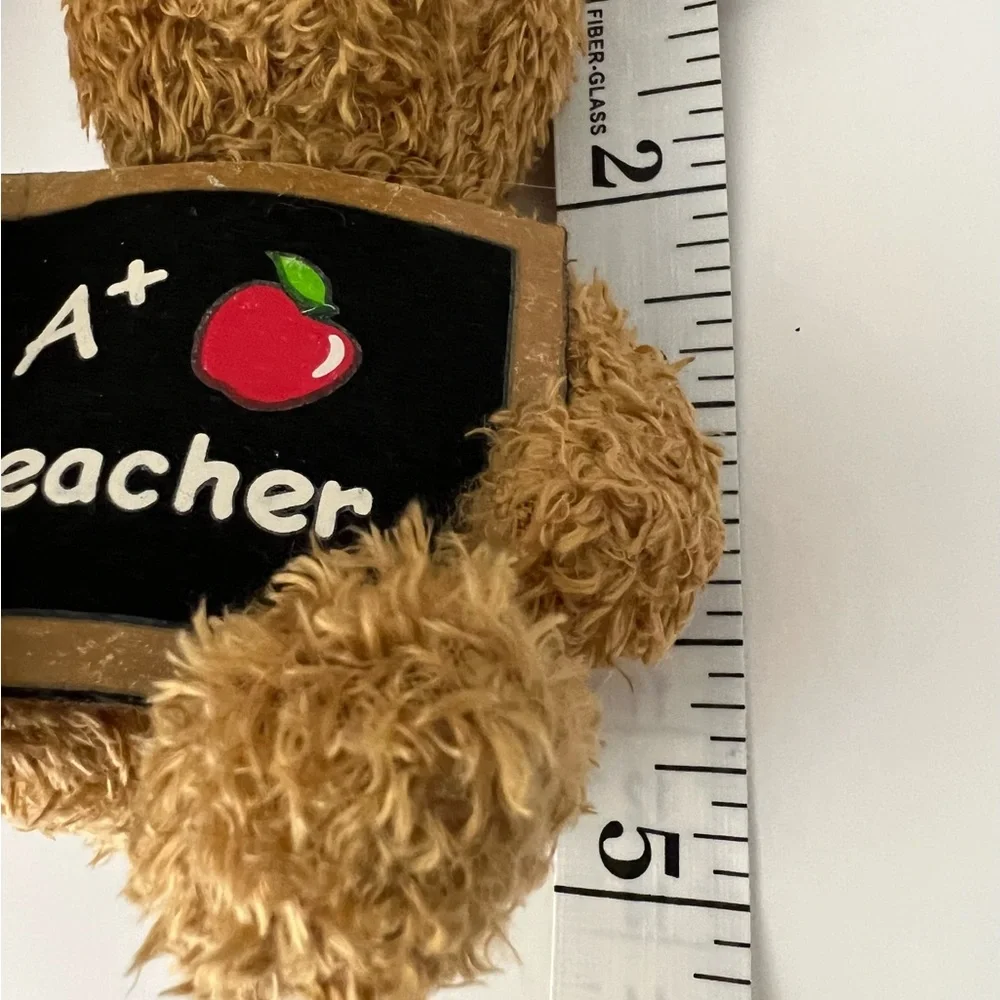 Ty 2005 Original Beanie Baby Rare “Cool Teacher” DOB: May 3, 2006 Hand Made